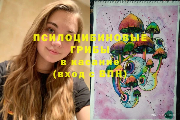 дживик Ладушкин