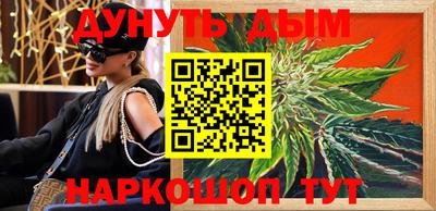 Альфа ПВП Гатчина