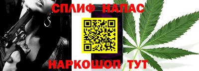 прущие грибы Гагарин