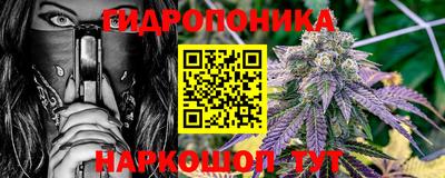 прущие грибы Гагарин