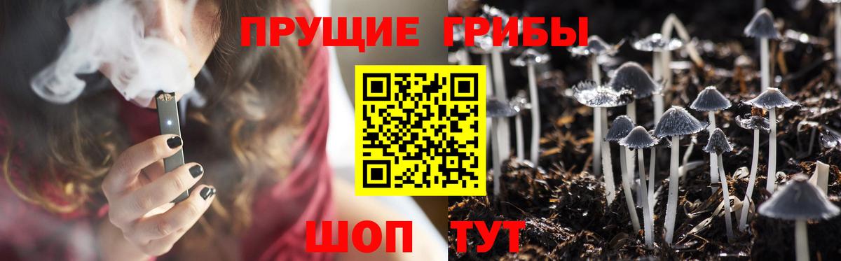 Псилоцибиновые грибы мицелий Миасс