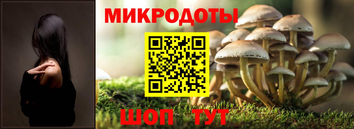 Псилоцибиновые грибы Magic Shrooms Миасс
